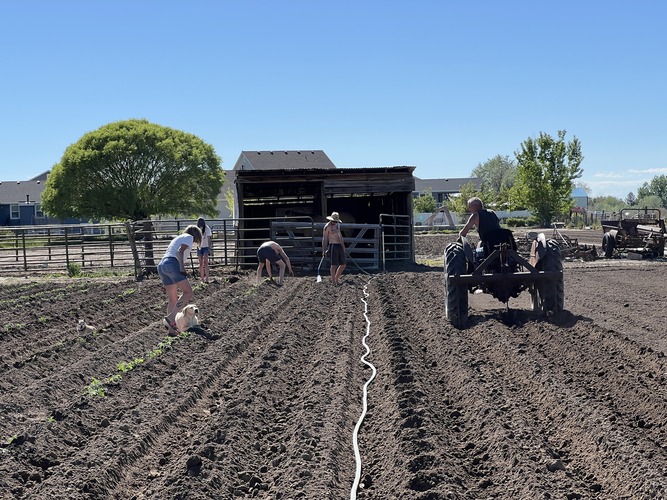 Venstra family working the farm fields